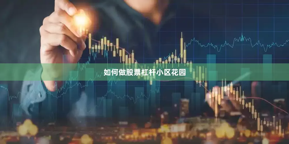 如何做股票杠杆小区花园